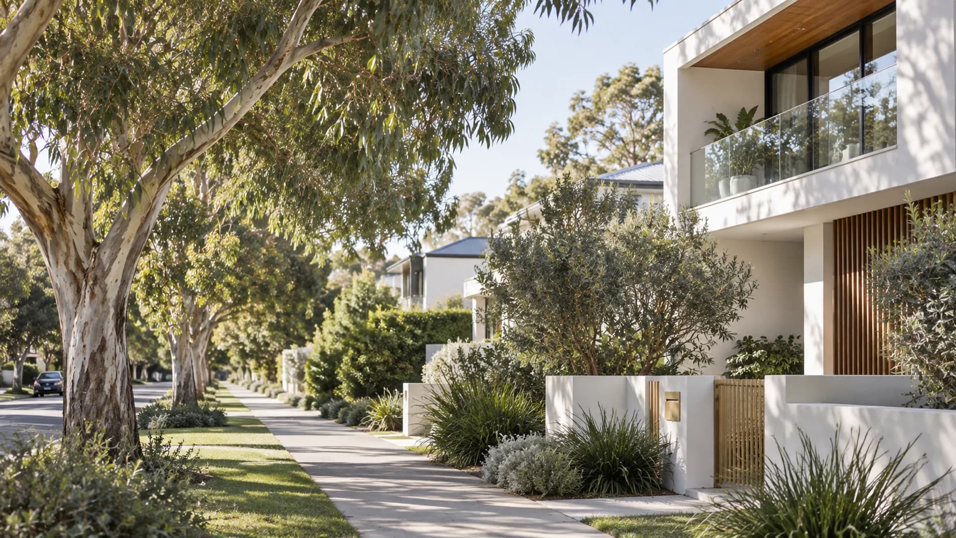 Leafy Australian neighbourhood with contemporary homes